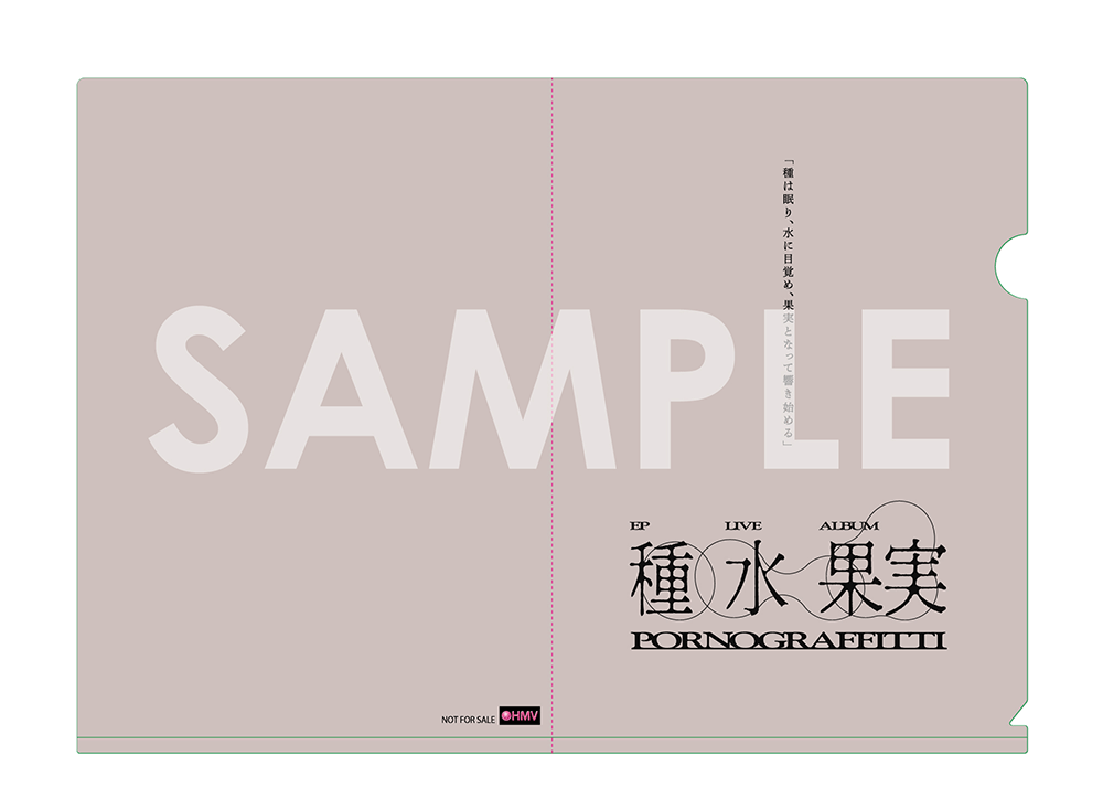 NEWS | ポルノグラフィティ/種水果実/13thアルバム＆20thライヴサーキット