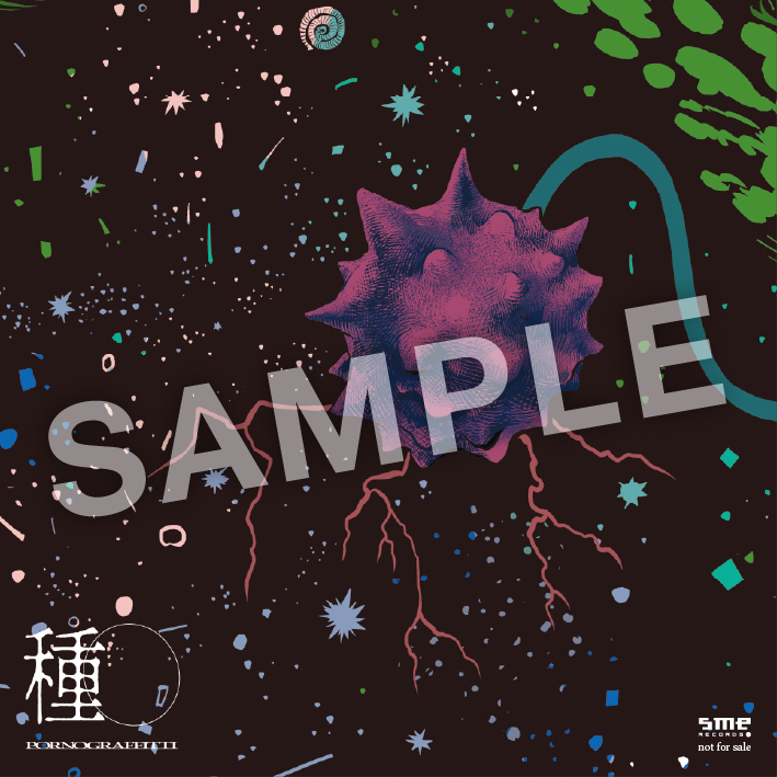 NEWS | ポルノグラフィティ/種水果実/13thアルバム＆20thライヴサーキット